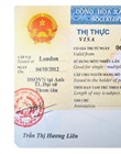 Thị thực nhập cảnh, hợp đồng lao động của trưởng đại diện